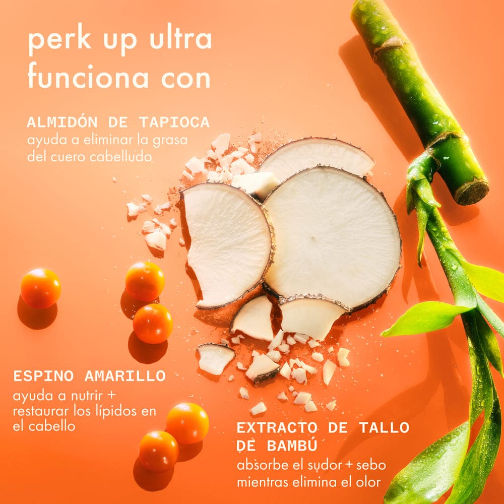PERK UP ULTRA OIL CONTROL DRY SHAMPOO (CHAMP&Uacute; EN SECO)